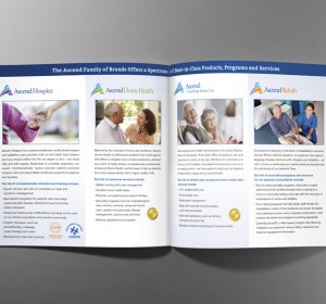 <span>- ascend1 -</span>Ascend C-Suite Brochure